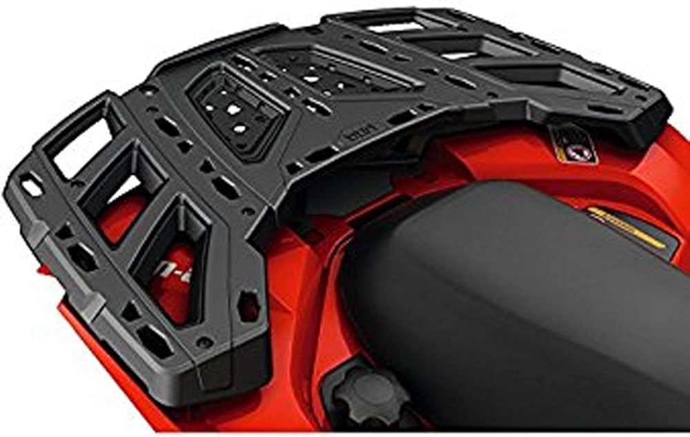 71zd8al+fzL._AC_UF1000,